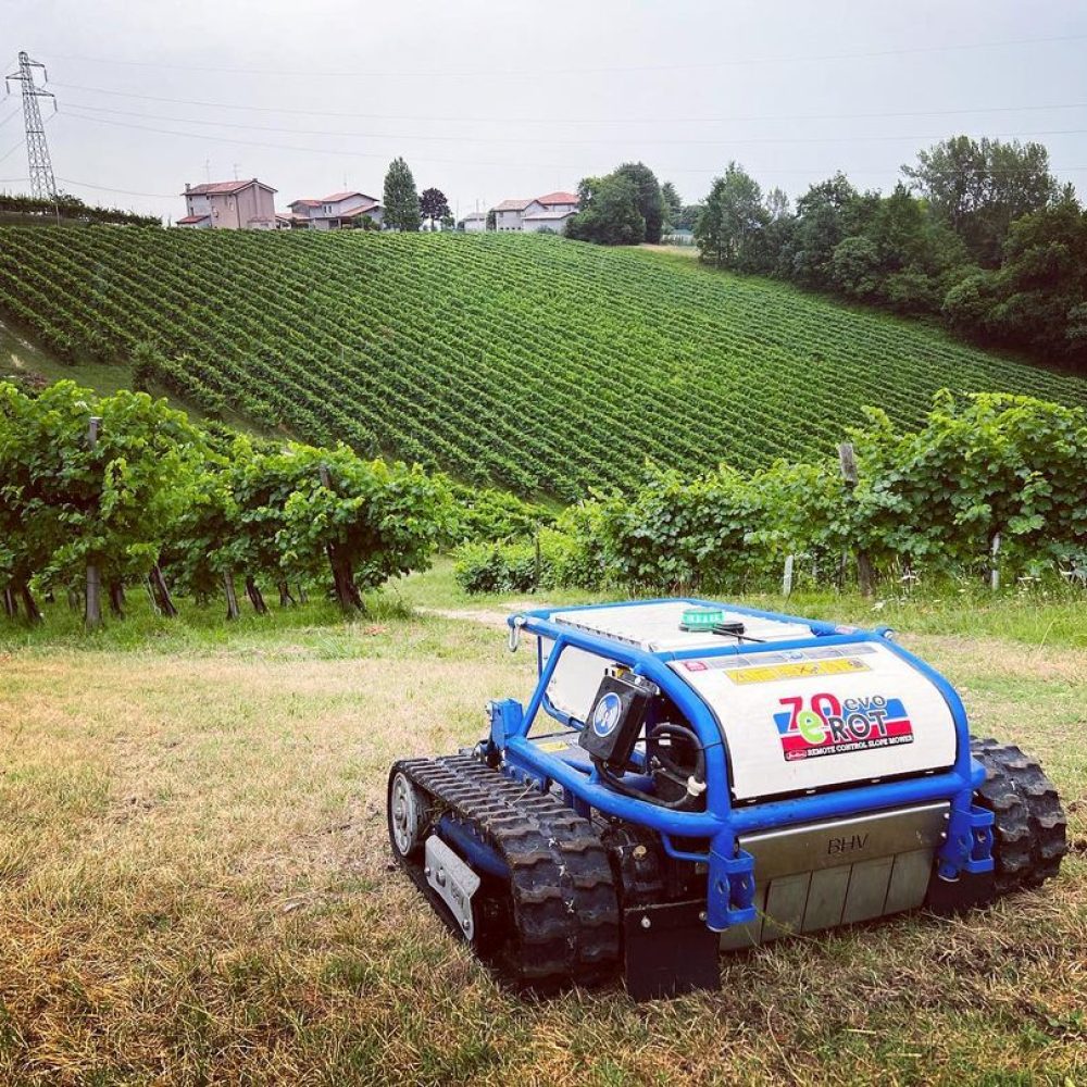 Segadora maquina profesional Barbieri